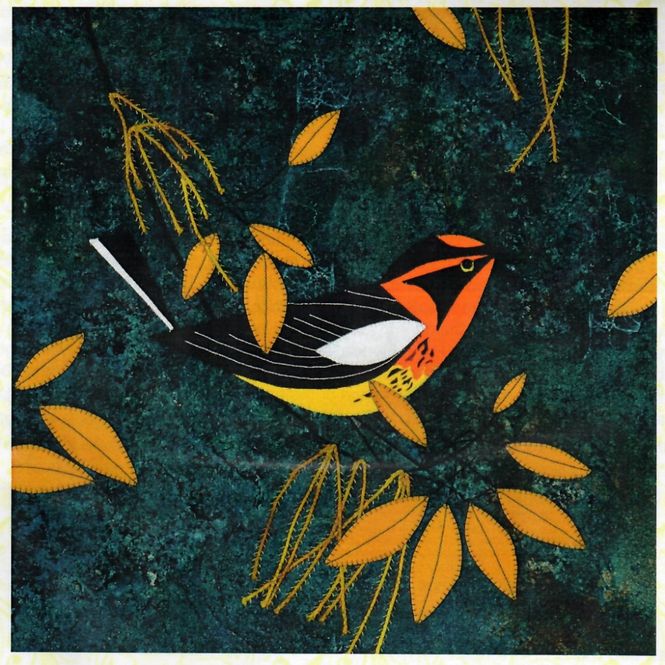 Hovedbilde Blackburnian Warbler mønster