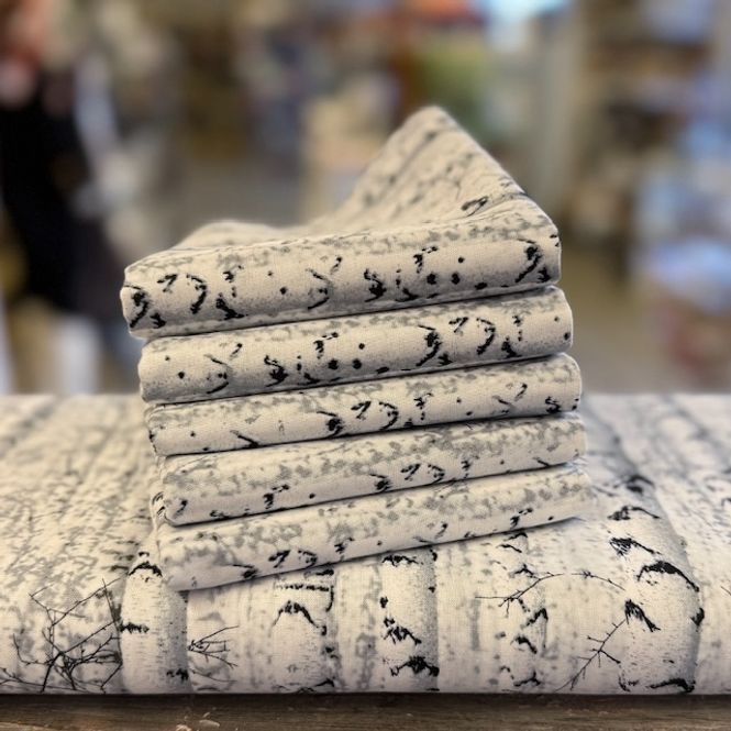 Hovedbilde Bjørkestammer